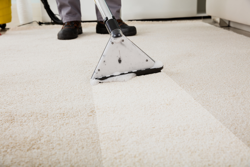 Carpet & Upholstery Cleaning – Poseidon Cleaning Services